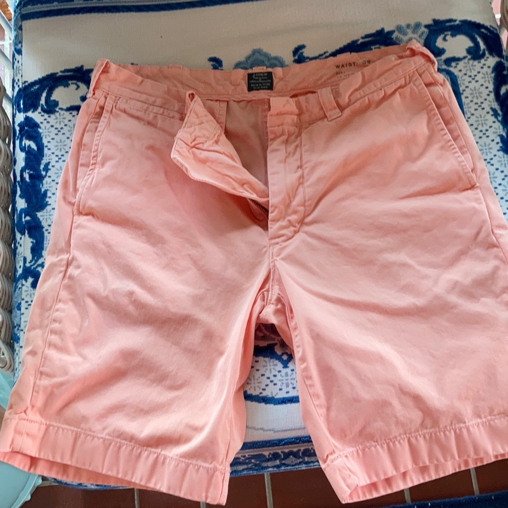 JCrew Stanton Shorts